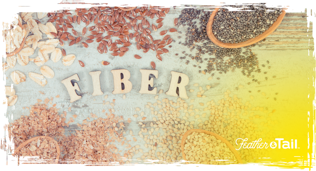 Fiber Matters: The Overlooked Hero in Animal Nutrition