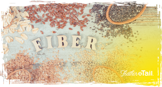 Fiber Matters: The Overlooked Hero in Animal Nutrition