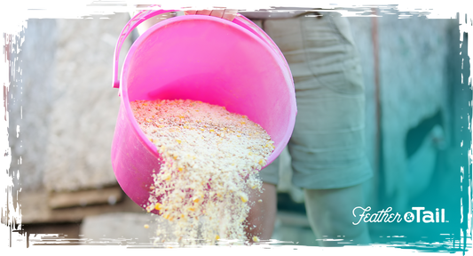 Probiotic Poultry Pellets: Gut Health in Every Peck