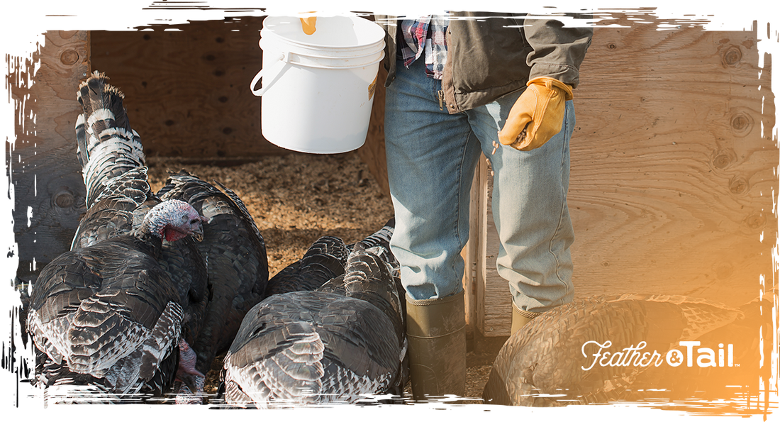 Feed Glow-Ups: How to Transition Feed Without Stressing Your Animals (or Yourself)