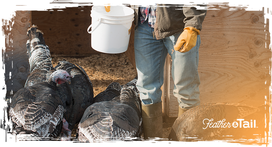 Feed Glow-Ups: How to Transition Feed Without Stressing Your Animals (or Yourself)