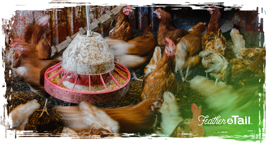 Feed Waste Hacks: How to Use Every Last Scoop