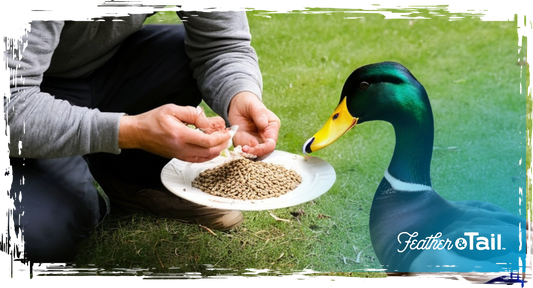 Feeding Ducks Organically: Tips for Happy, Healthy Birds
