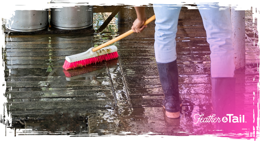 Feeding to Reduce Odor: Clean Nutrition, Cleaner Pens