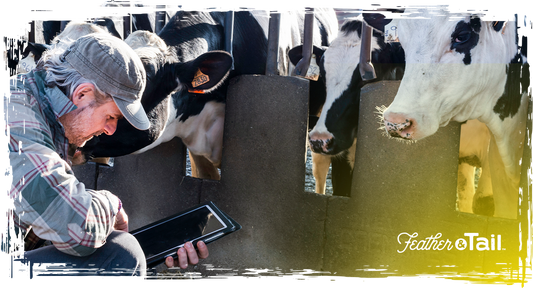 Smart Feeding: Using Tech to Track Animal Health