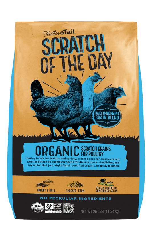 Feather & Tail™ Scratch of the Day